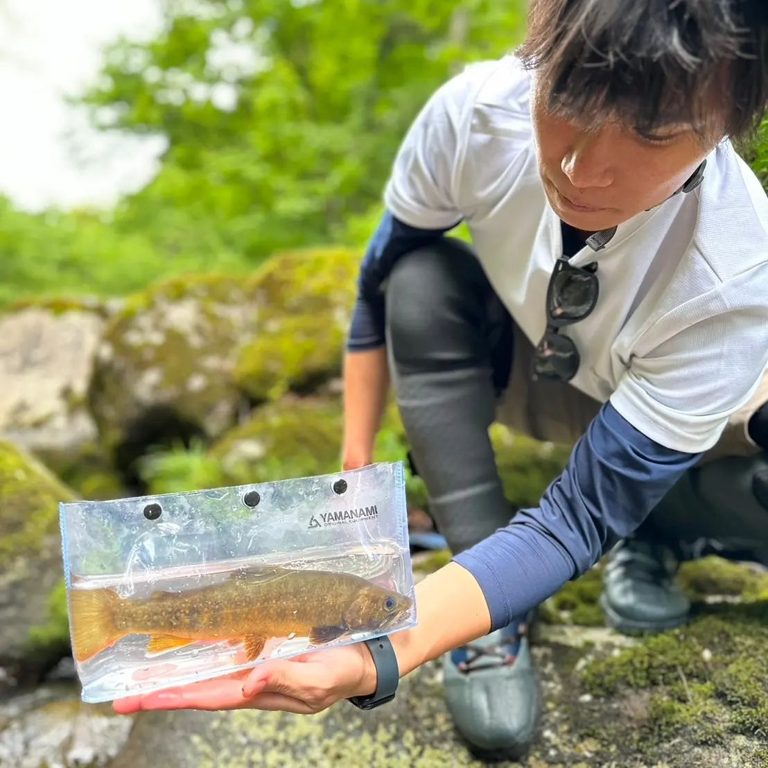 トラウトルアーフィッシング初挑戦!